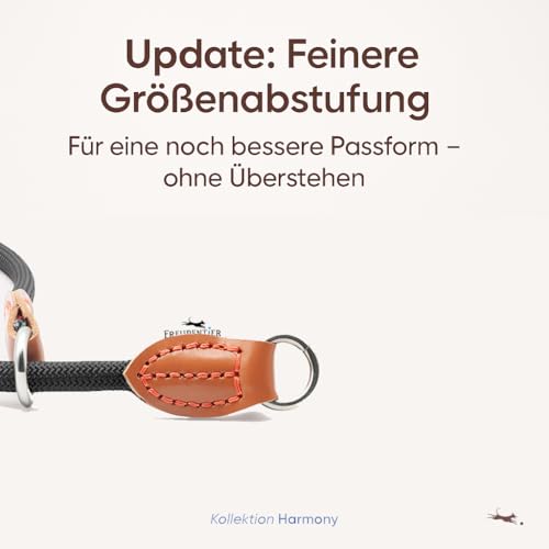 FREUDENTIER Zugstopp Halsband Hunde - Retriever Halsband - Hundehalsband Zugstopp für kleine, mittelgroße & große Hunde (Schwarz, M)