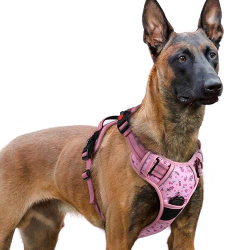 rabbitgoo - rabbitgoo Dog Harness Large Dog No Pull Pet Harness with 2 Leash Clips, Adjustable Soft Padded Pet Vest Harness, Reflective No-Choke with Easy Control Handle for Training or Walking, Floral Pink, XL