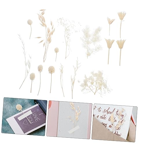 Kit de flores secas para manualidades inmortales LIFKOME miniatura 6