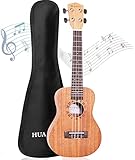 HUAWIND Ukulele Concerto per Principianti 23 Pollici Mogano Starter Professionale, Chitarra Piccola Hawaiana Ukelele per Bambini Adulti Studenti