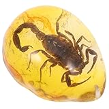 Gatuida Bernstein Amulett Anhänger Natürliches Insekten Bernstein Schmuck Tropfenförmiges Sammlerstück Leichtes Dekoratives Accessoire Einzigartiges Geschenk für Schmuckliebhaber