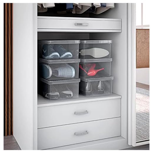 Conjunto de 6 Caixas para Sapato Shoe Box Tam M 35 a 38 Cristal