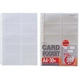 リヒトラブ カードポケット ２０名 １００枚入