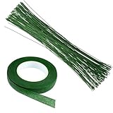 12 Inch stem Crafting Paper Wrapped for Artificial Flowers Making, Plant Stub Stem (25pc Wire & 1 Type Tape, Green Floral Wire with Green Floral Tape)