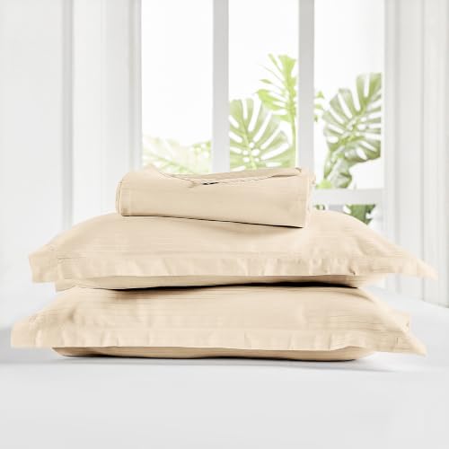 Image of myTrident Bedsheet for Double Bed King Size | 108 inch x 108 inch | Irish Cream