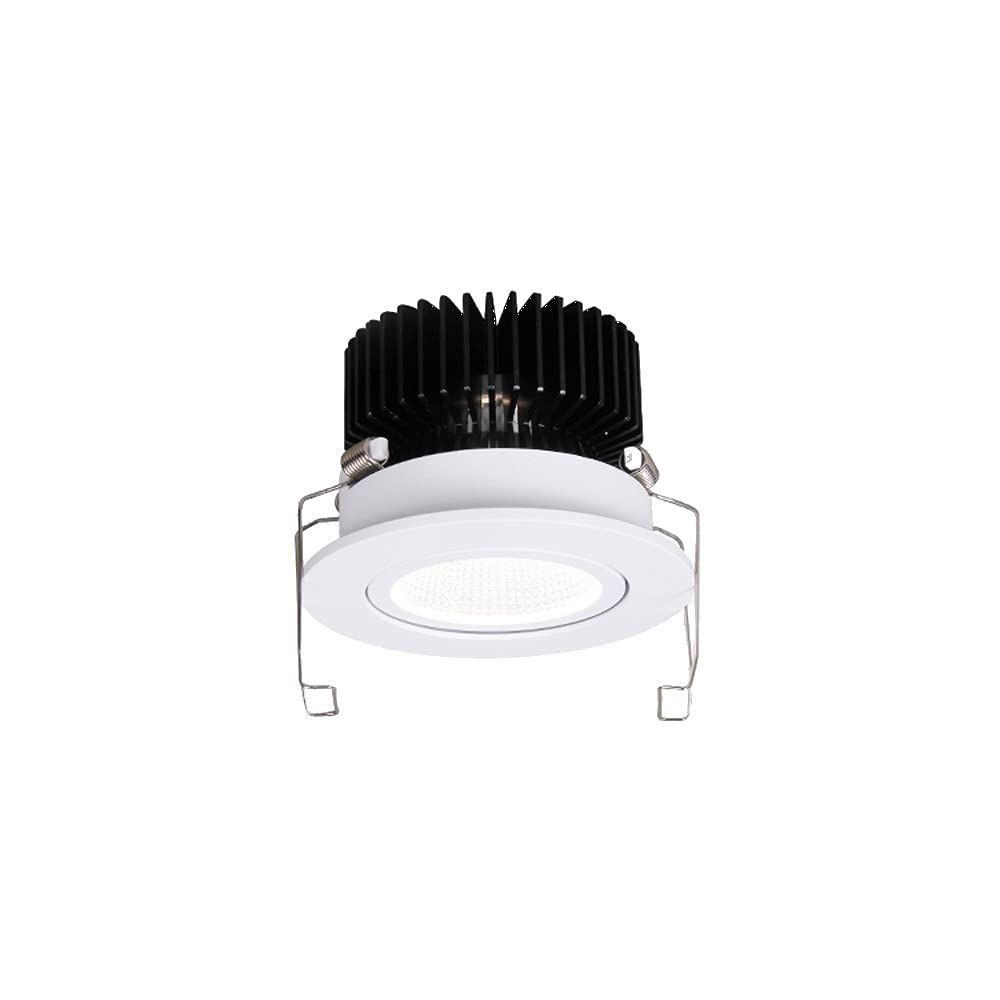 Lámpara de punto único ajustable LED de 12W redonda blanca
