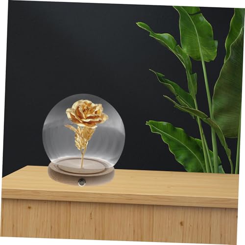 Cúpula de vidrio para flores preservadas con base de madera iluminada 7