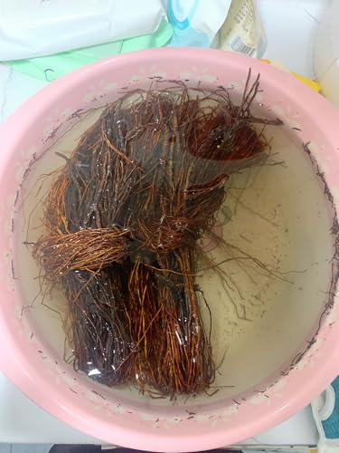 Image of YZHZOM 160g Aquarium Driftwood Roots - Bushy Tank Wood for aquascaping -Perfect for Fry, Shrimp or Terrarium,Natural Wood Roots for Aquarium aquascaping