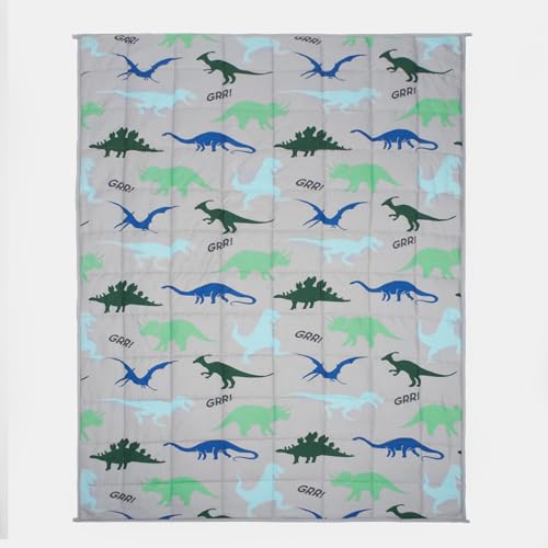 OHS Teddy Fleece Weighted Blanket for Men 3kg Dino Grey, Heavy Weighted Blanket Double Calming Stress Relief Anti Anxiety Blanket for Adults Gift for Him Her Disclaimer Only suitable for age 3+ years