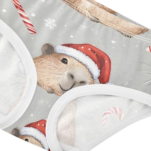 Bright Toddler Girls Underwear 2t Cotton Panties Little Girl Cute Capybara Fun Christmas Briefs Kids Undies4