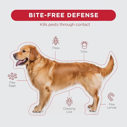 FirstAct Plus Flea Treatment for Dogs, Extra Large Dogs 89+ lbs, 6 Doses, Same Active Ingredients as Frontline Plus Flea and Tick Prevention for Dogs - Image 7