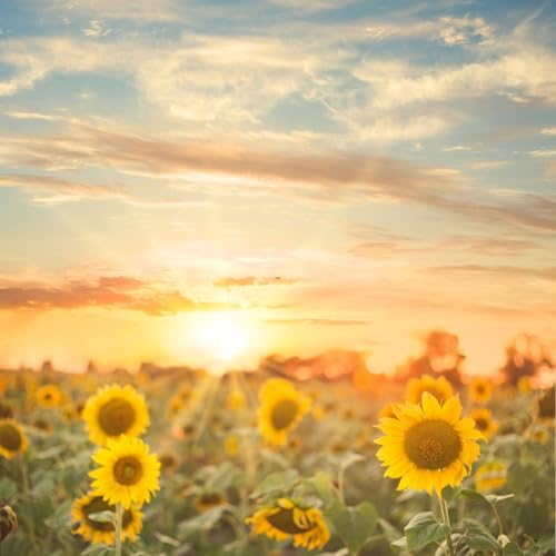 Motivational Monday - Building This Summer