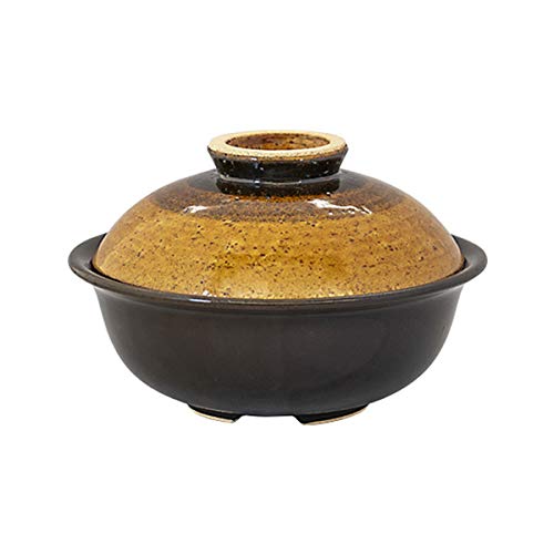 Amazon｜長谷園 伊賀焼 ヘルシー蒸し鍋 蒸し小鍋 どんぐり AIC-17