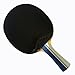 Palio Legend 2.0 Table Tennis Racket & Case | ITTF-Approved Advanced Ping Pong Paddle | Maximum Power, Speed & Spin