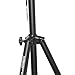 Earthquake Sound ST-35SM Heavy Duty Speaker Stand, max weight of 132 lbs