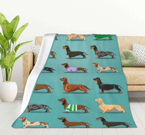 HGOD DESIGNS Cute Dachshund Dog Pattern Fleece Blanket Throw (100x130cm), 100 x 130cm