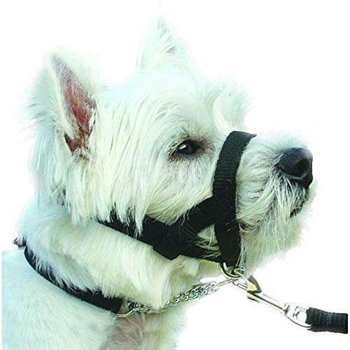 kumfi calmer dog lead