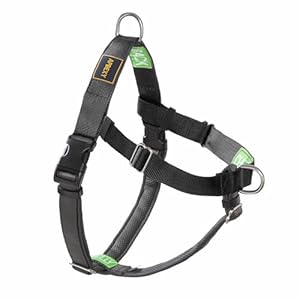 Freedom No Pull Harness for Large Dog with Front Clip, Designed for Hounds Train, Easy Walk, Anti Pull with 2 Stainless D-Rings, Comfortable, Sewn-in Instructions Tags for Easy Use (Black, L)