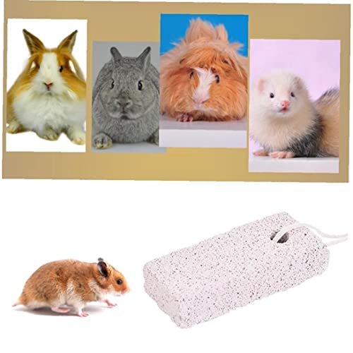 Froiny Pet Denti Macinazione Pietra Calcio Pietra