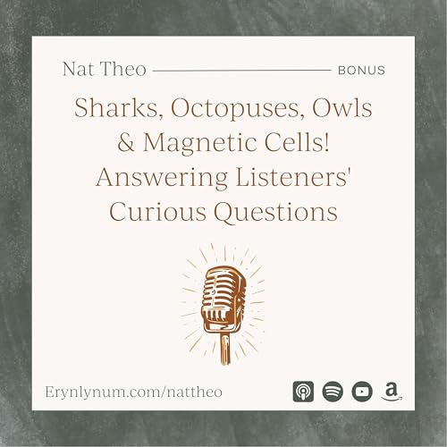 Sharks, Octopuses, Owls & Magnetic Cells! Answering Listeners' Curious Questions Podcast Por arte de portada