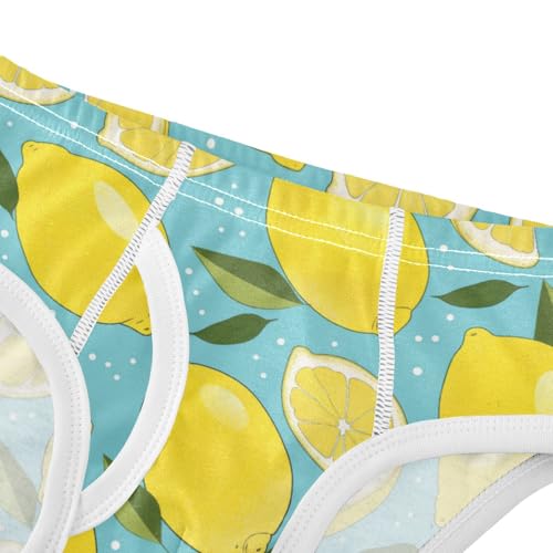 Wusikd Lemon Boys' Underwear Cotton Slices Mint Boys Briefs Soft Toddler Underwear 2T4