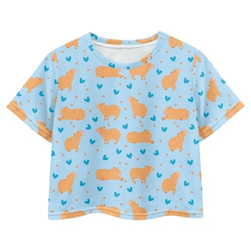 Image of Girls Crop Tees Crew Neck Casual Short Sleeve T Shirts Kids Loose Soft Comfortable Tees Blouses Shirt for Little Girl