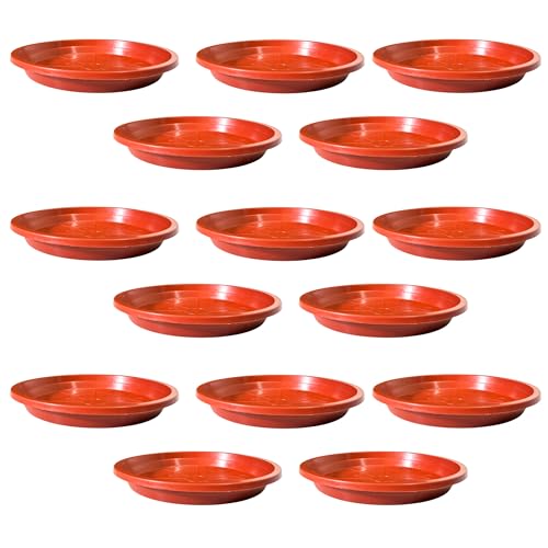 Image of Plant Saucer Base Plate for Pots | Premium Planter Tray |100% Virgin Plastic, UV Treated, Durable & Lightweight | Ideal for Indoor & Outdoor (15, 8 inch Tray)
