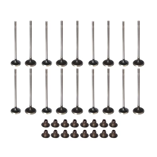SecosAutoparts Intake & Exhaust Valve Kit 1334213343 55569450 Compatible with Chevrolet Sonic Cruze 2011 2012 2013 2014 2015 2016 2017 2018 1.8L Engine