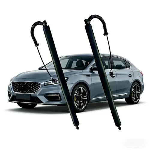 Vérins hayon électriques pour MG Hector 2019+ gauche support levage arrière - 3