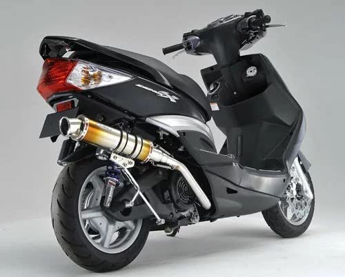 Amazon | Realize シグナスX バイクマフラー 台湾5期 LPRSE461
