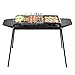 Grill Grillowy Przenośny Grill Węglowy Ze Stali Nierdzewnej Z Rusztem Z Siatki Stalowej 2, Smażony I Grillowany, W Pełni Funkcjonalny77X32X23Cm