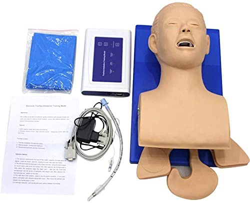 Mannequin d'intubation adulte pour corriger les erreurs de manipulation