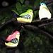 SOLAHOMF Solar Outdoor Decoration Lights- Bird Shaped Multi-colored Decoration Lights with Clip for Garden,Patio Tree Decoration Landscape Lighting, 3 Pack