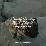 Man's Best Friend Music