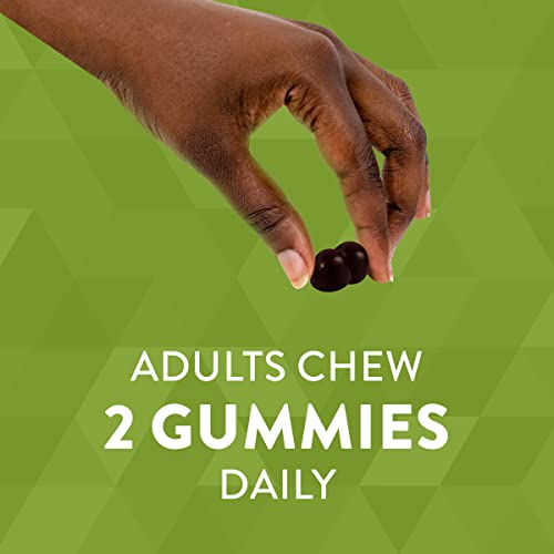 Nature’s Way Chlorophyll Gummies, Healthy Skin And Body Detox*, Orchard Fruit Flavored, 60 Gummies #TOP4