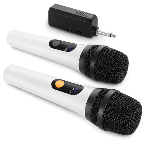Microfono Wireless, doppio microfono dinamico Bluetooth digitale con ricevitore ricaricabile,