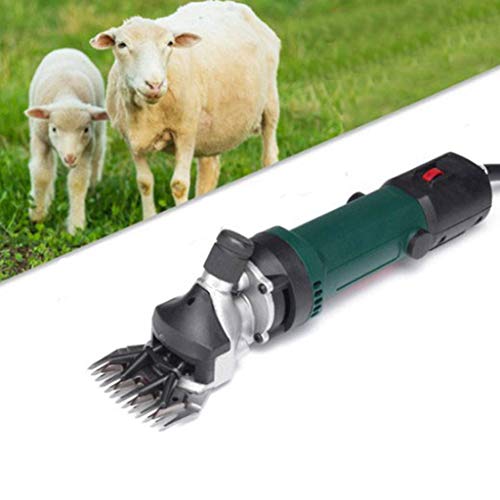 350W-Electric-Clipper-Wool-Shearing-Animal-Wool-Grooming-Hair-Sheep-Goats-Cattle-Livestock-Oster-Pet-Livestock-HQ-Professional-Heavy-Duty-Electric-Shearing-Clippers-with-6-Speed - Cucciolini Doodles   350W-Electric-Clipper-Wool-Shearing-Animal-Wool-Grooming-Hair-Sheep-Goats-Cattle-Livestock-Oster-Pet-Livestock-HQ-Professional-Heavy-Duty-Electric-Shearing-Clippers-with-6-Speed