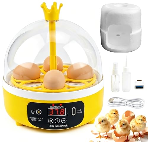 Couveuse automatique pour 4 œufs avec retournement et gestion thermique précise