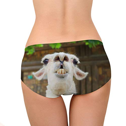 Image of Dellukee Sexy Women Underwear Briefs Breathable Hipster Panty White Alpaca Print