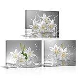 Canvbay 3 Pieces White Lily Floral Wall Art Lilies Flower Bloom in Water Picture Print on Canvas Modern Home Decor for Living Room Bedroom Bathroom 12x16inchx3pcs