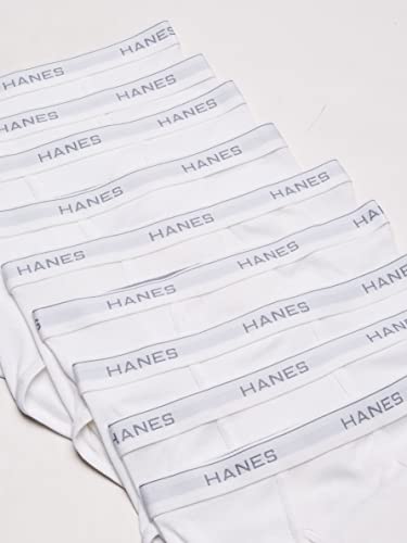 Hanes mens Brief2