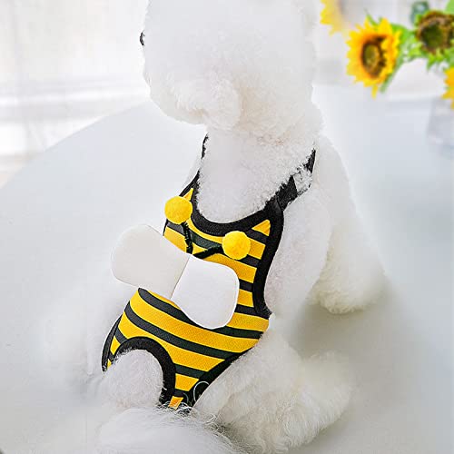 Image of Female Dog Sanitary Panties, Breathable Lightweight Puppy Menstrual Diaper Reusable Skin Friendly Cute for Summer (M (Recommended Weight 3.5‑7.5kg / 7.7‑16.5lb))