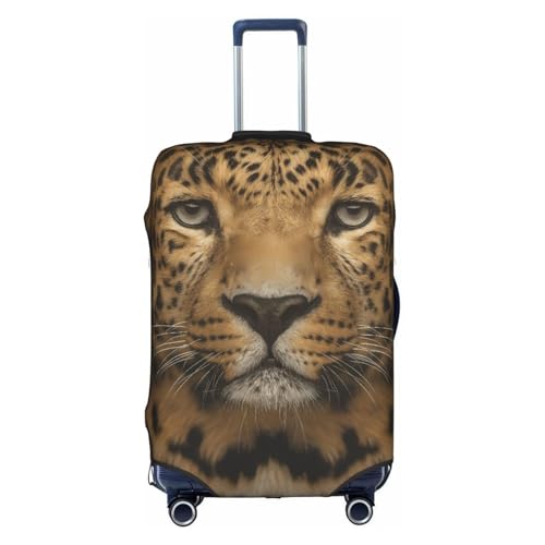 [NEXEAR] ^3 Aj X[cP[XJo[ Lkf Lkf ʋCh h~ o ו s L