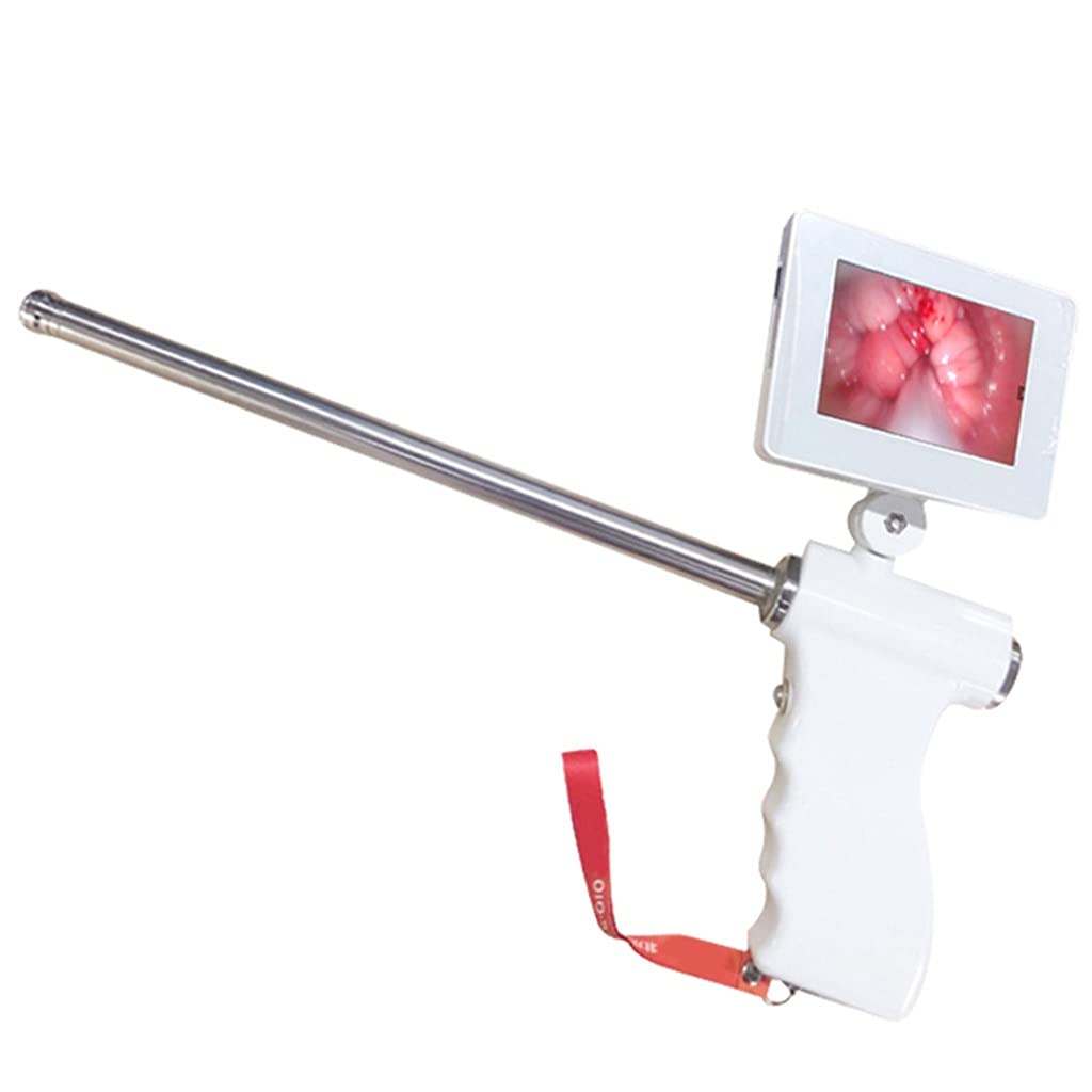 Buy BDXZJ Artificial Insemination Kit, Professional Visual Insemination