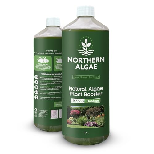 Northern Algae Natural Algae Plant Food. Algae Fertiliser for Indoor & Outdoor Use. Concentrated Plant Food, Sustainably Sourced Microalgae Biostimulant. Nature’s High-Power CO₂ Absorber. (1L)