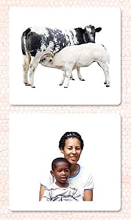 Mammals Vocabulary Cards