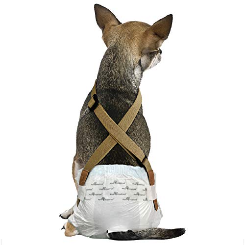 Image of PAW Inspired Dog Diaper Suspenders, Brown, X-Small /Small