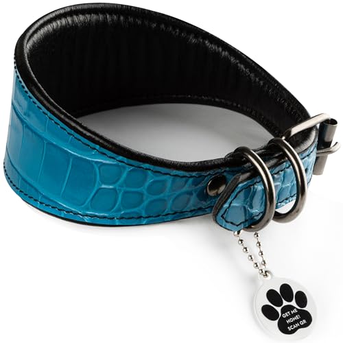 FAVPET Luxus Echtleder Windhund Halsband Breit mit QR Code Anhänger, Weiches Lederhalsband Hund Breit Whippet Italienisches Windspiel Saluki Lurcher Spanischer Galgo Greyhound Podenco (Blau, M)