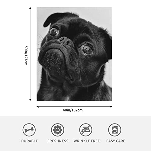 Hcokrzt Blankets & Throws Cute Black Pug Dog Plush Fuzzy Flannel For Boys Girls Women Bedroom Sofa Office Couch 50 * 40 #TOP2