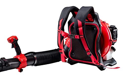 Craftsman 41AR51BP793 Gas Powered Backpack Leaf Blower thumb #2